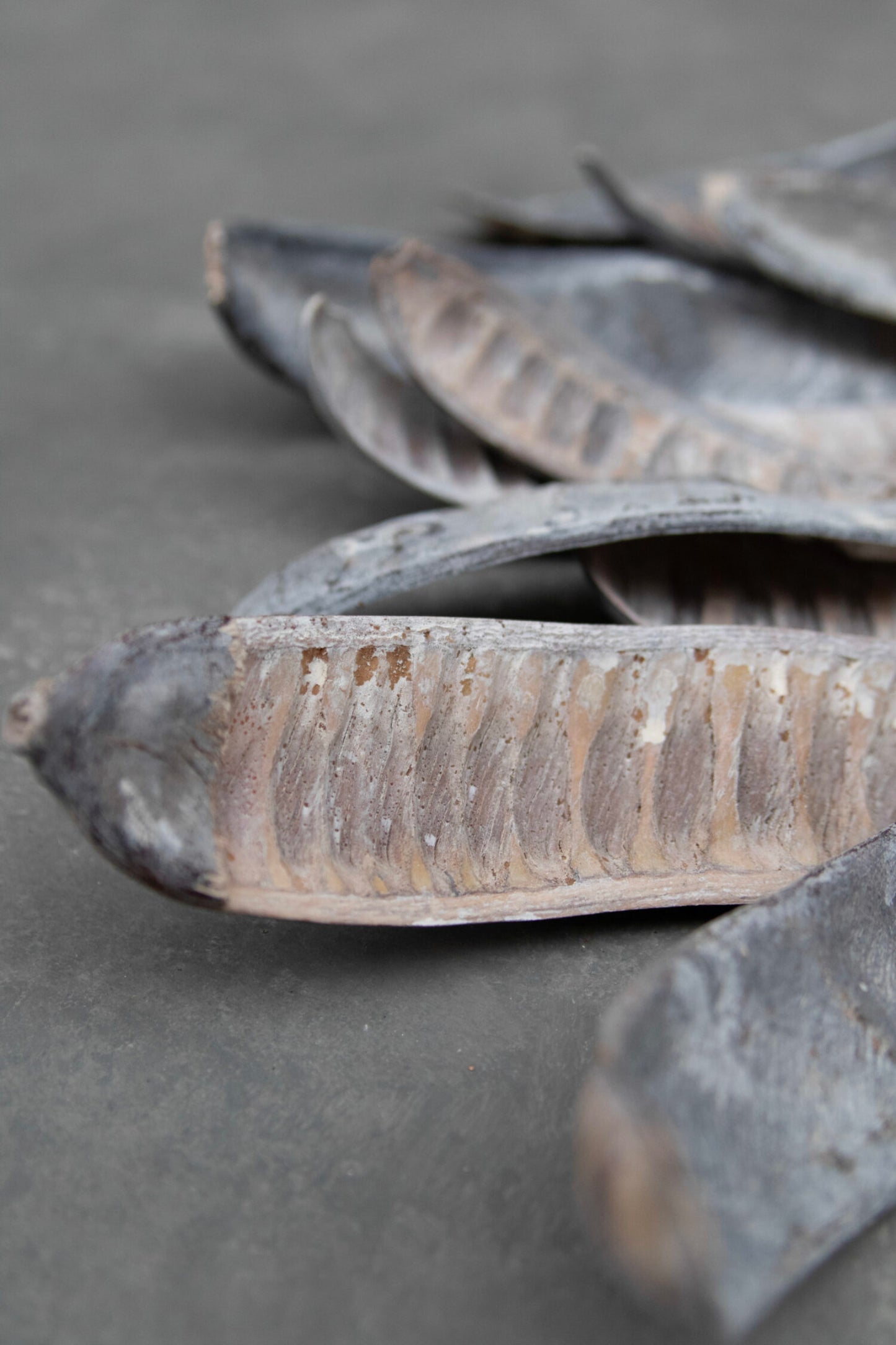 Hülsenfrucht weiss 6 Stück