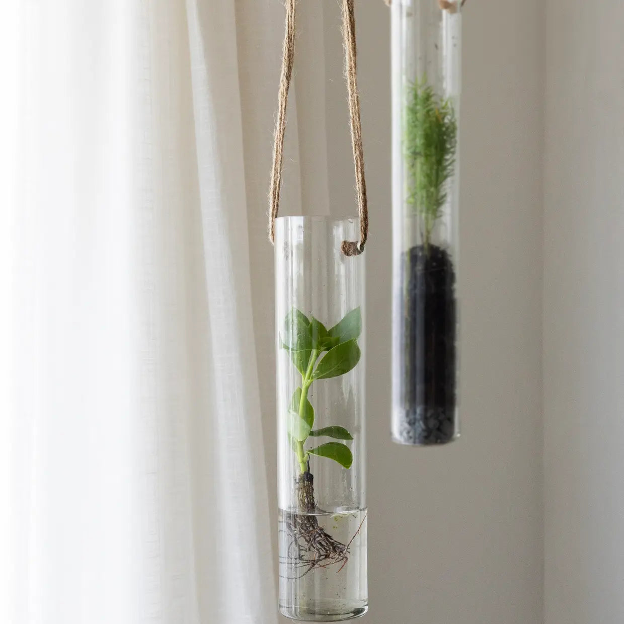 Pflanzen Terrarium M