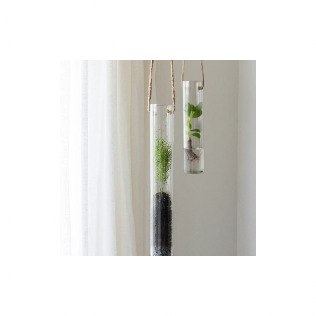 Pflanzen Terrarium S