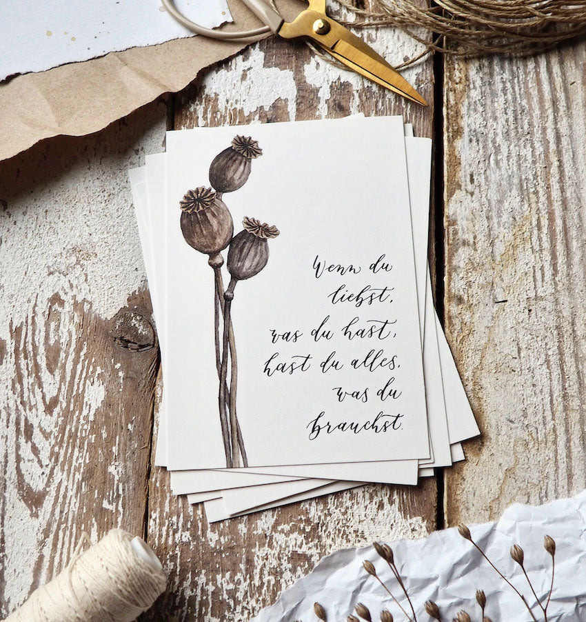 Postkarte „Mohnkapsel“