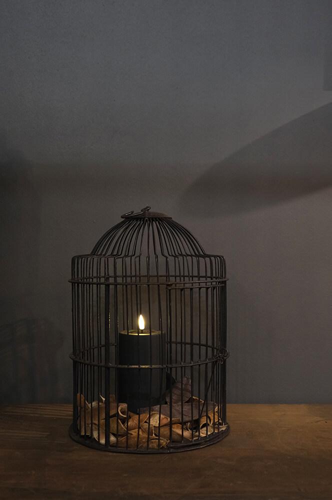 Tweet Vogelkäfig