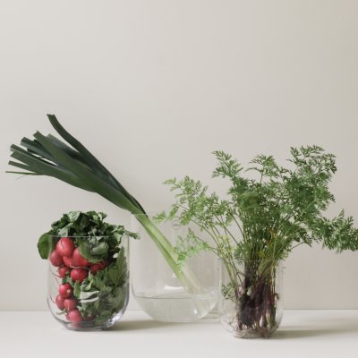 Simple Glas Vase L