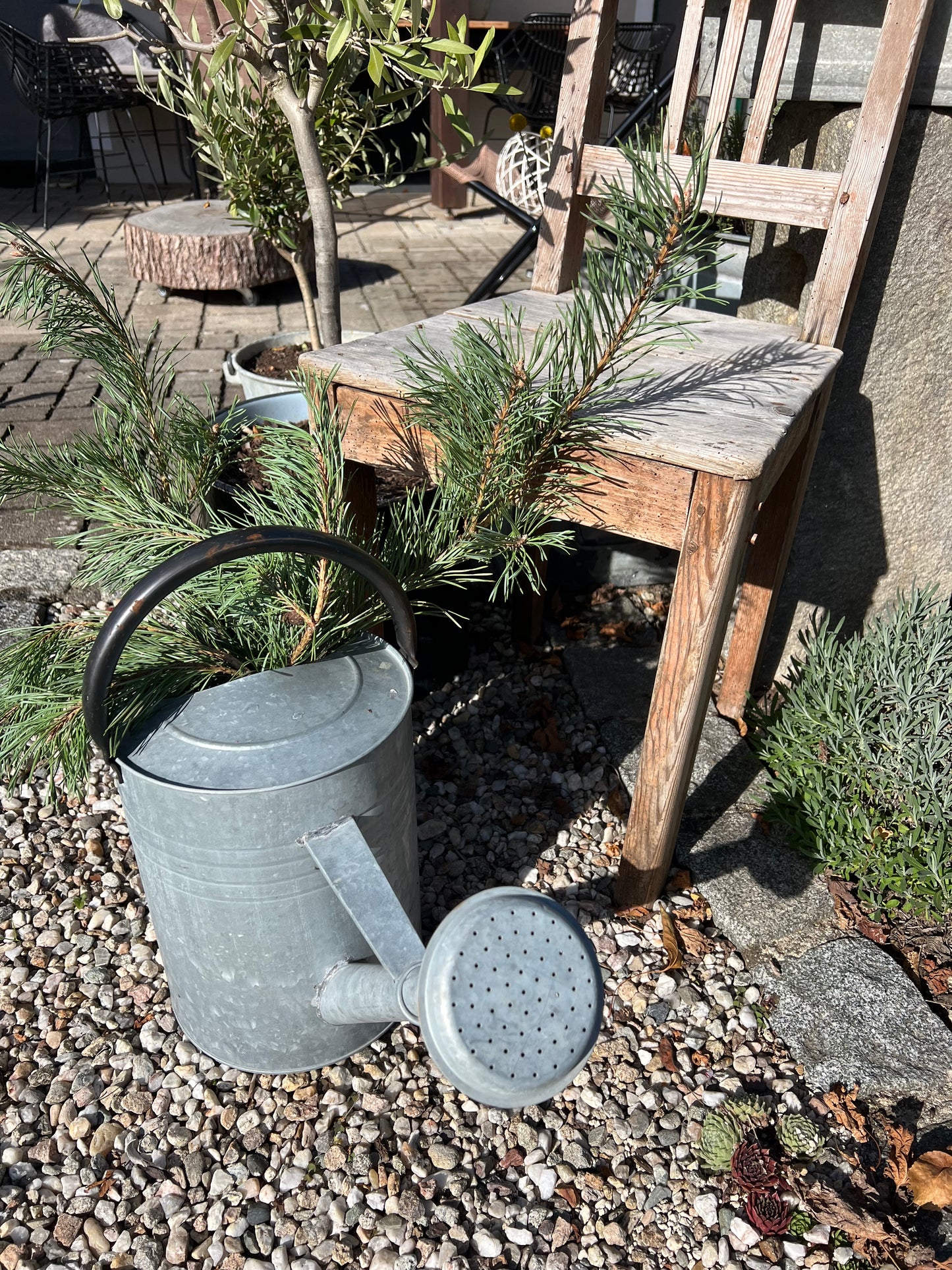 Gießkanne Zink Ib Laursen 11l