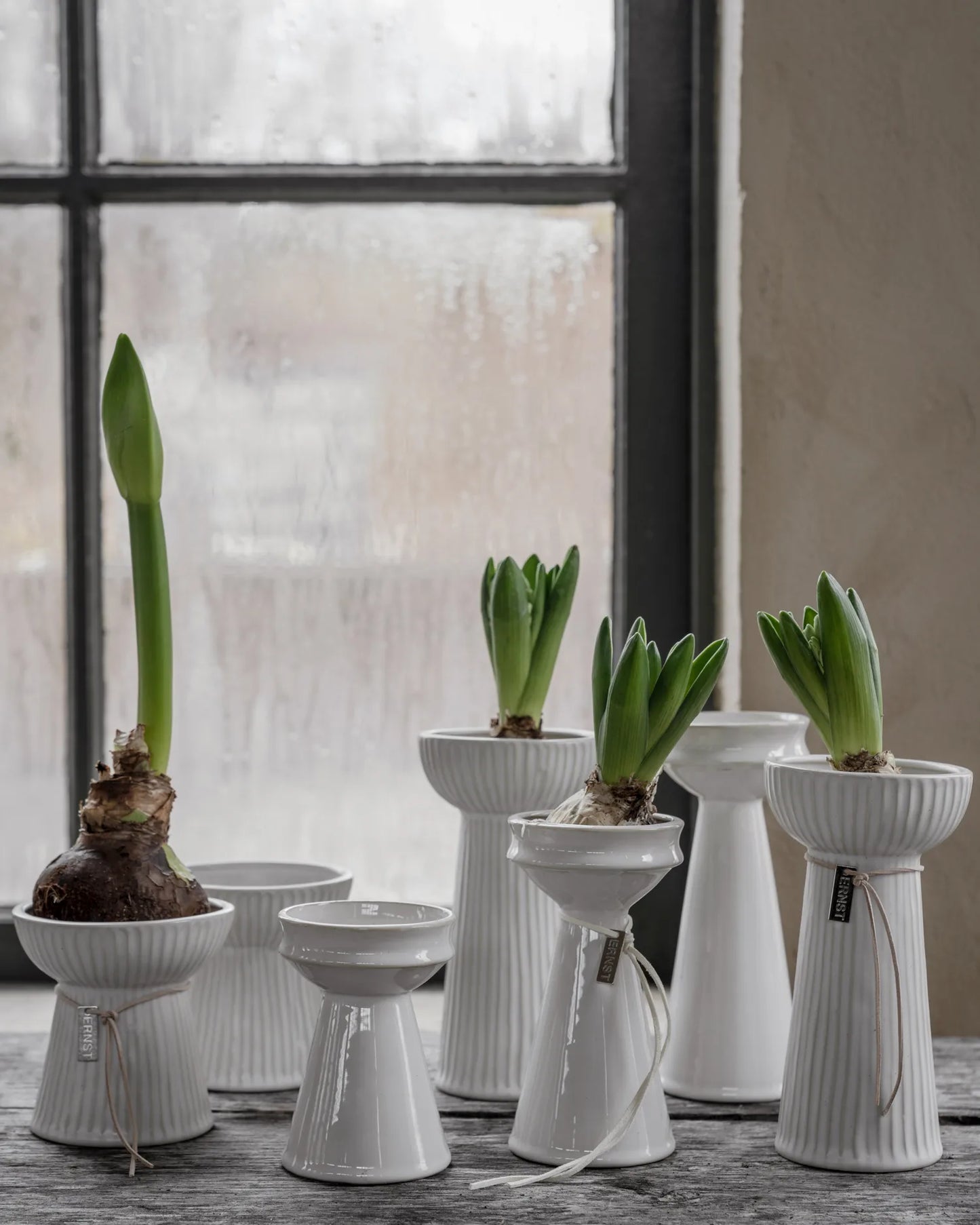 Hyazinthen Vase Ernst