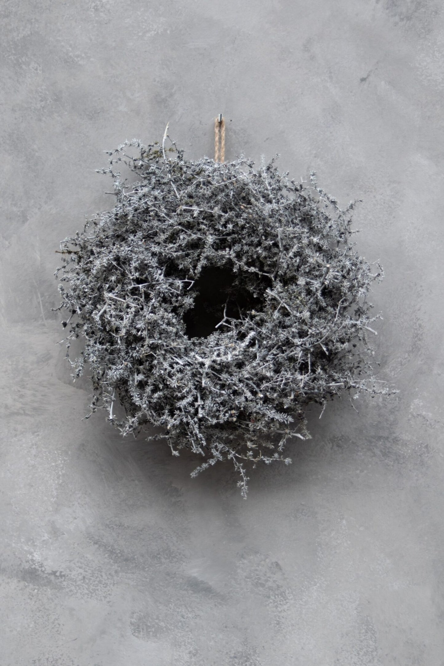 Asparagus Kranz grau D: 28 cm gewachst