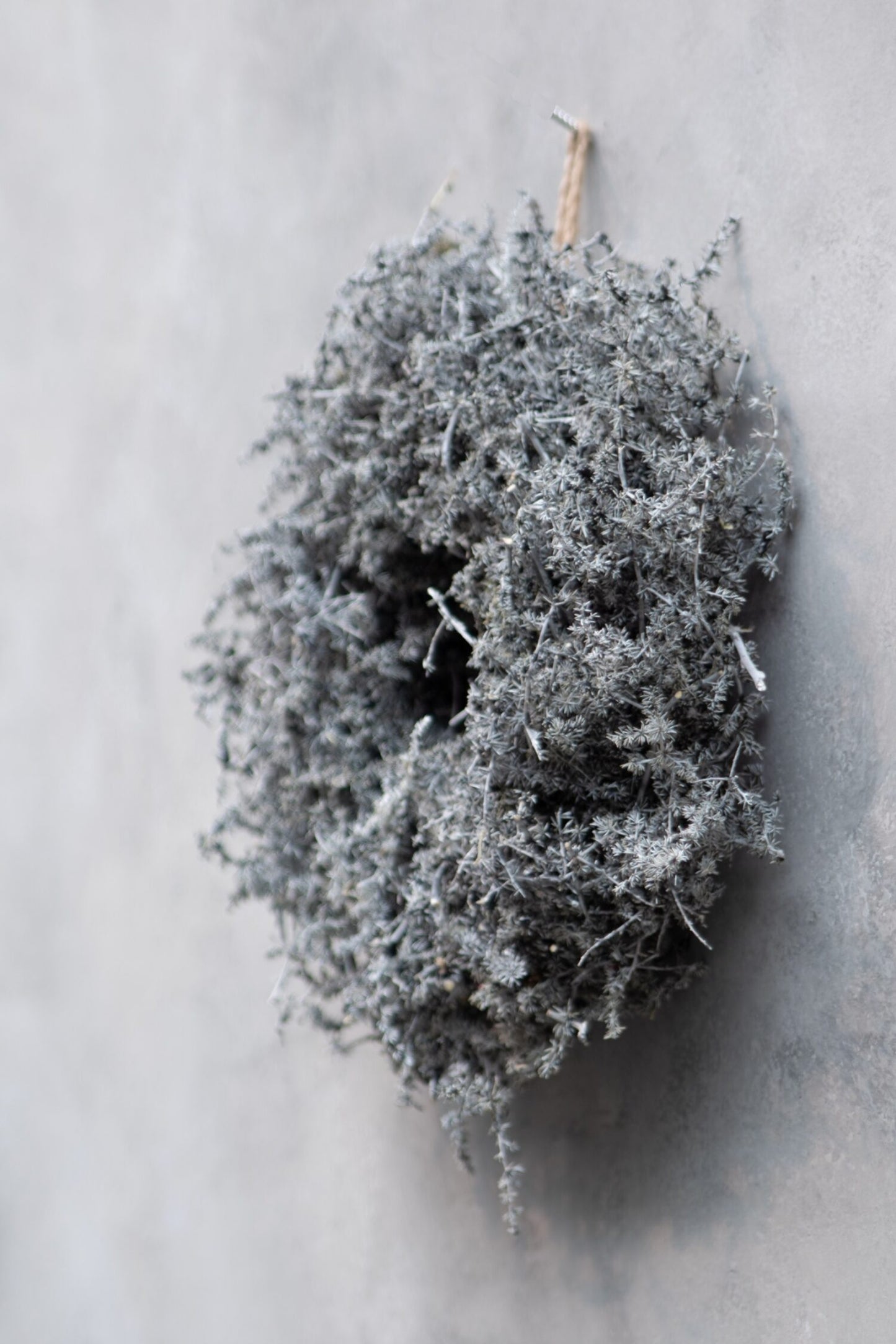 Asparagus Kranz grau D: 28 cm gewachst