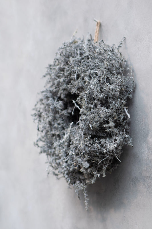 Asparagus Kranz grau D: 28 cm gewachst