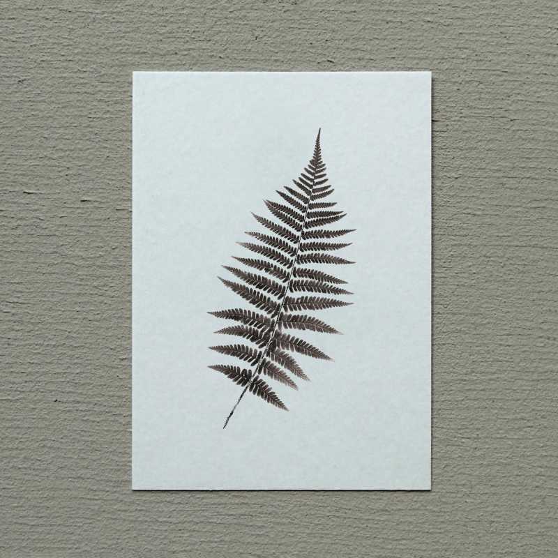 Postkarte „Farnblatt“ Slowlay