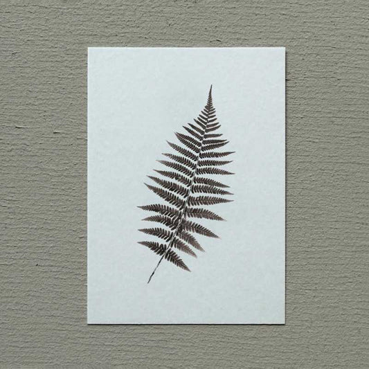 Postkarte „Farnblatt“ Slowlay