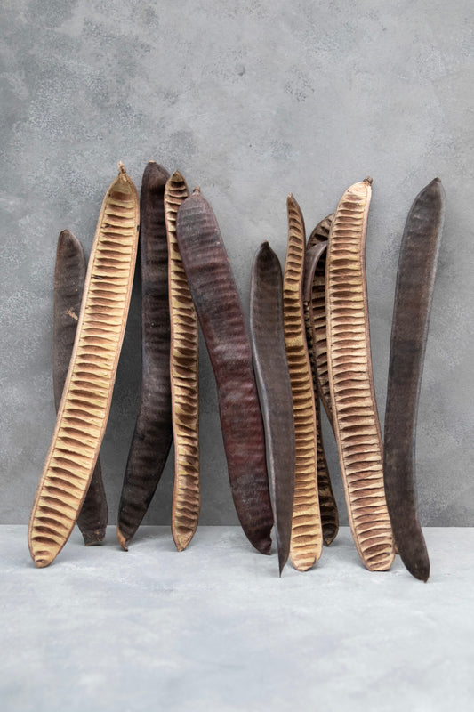 Hülsenfrucht braun 6 Stück