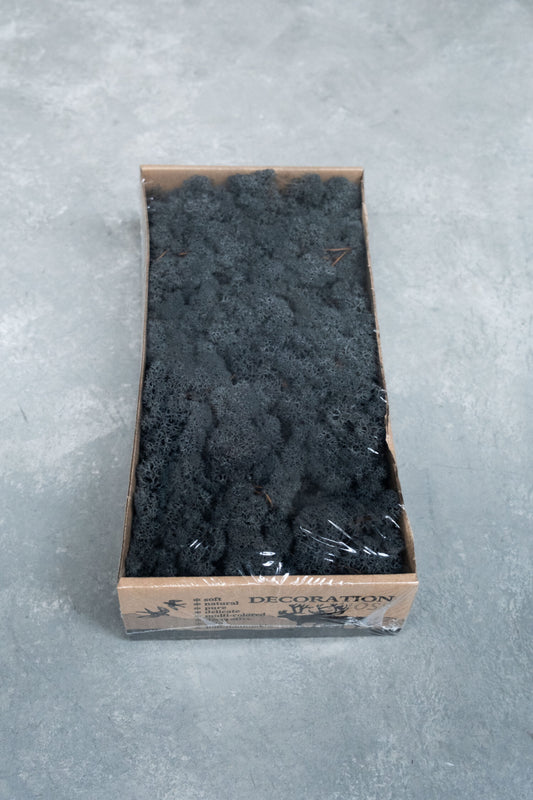 Island Moos anthrazit