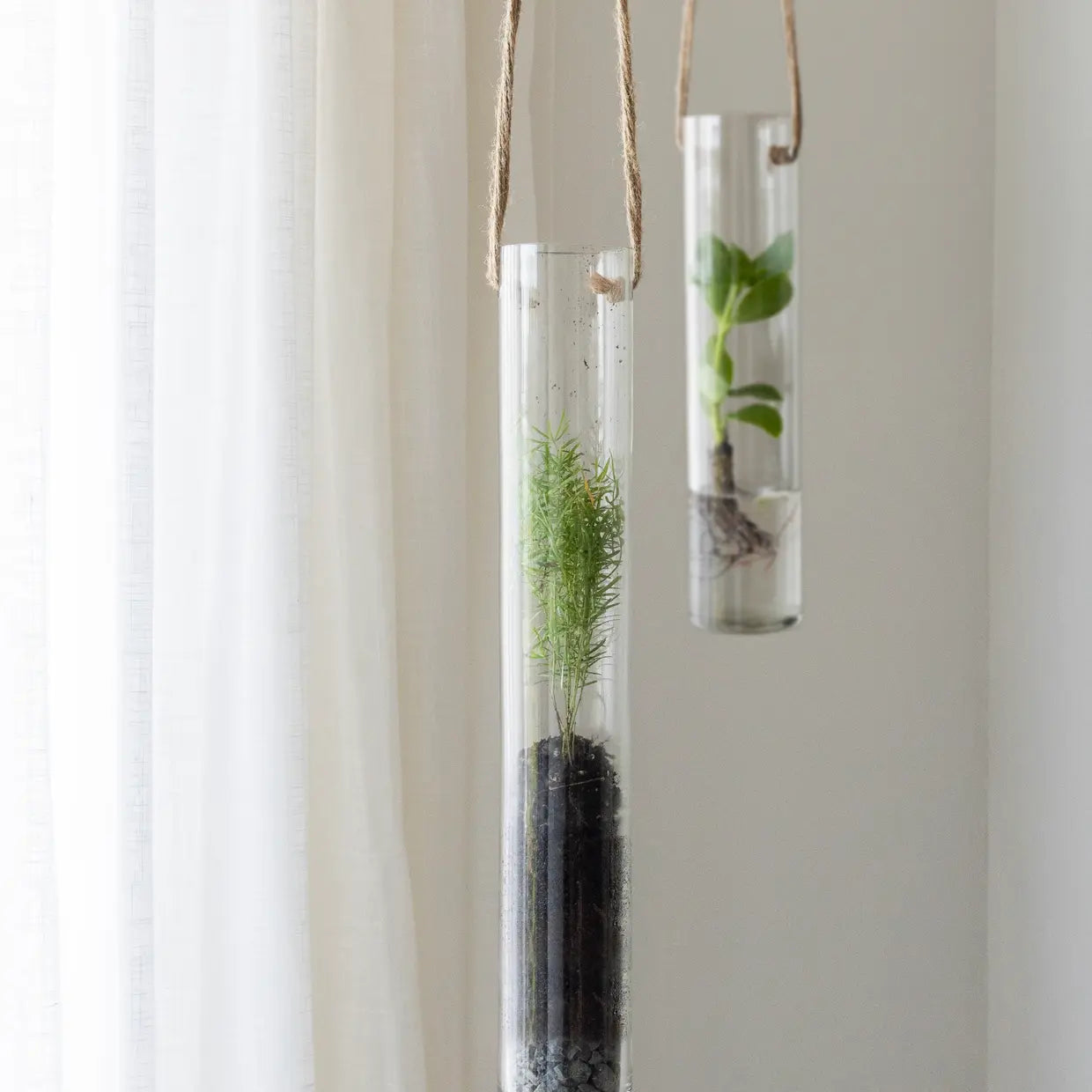 Pflanzen Terrarium M