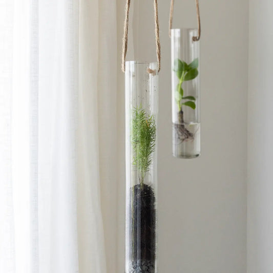 Pflanzen Terrarium M